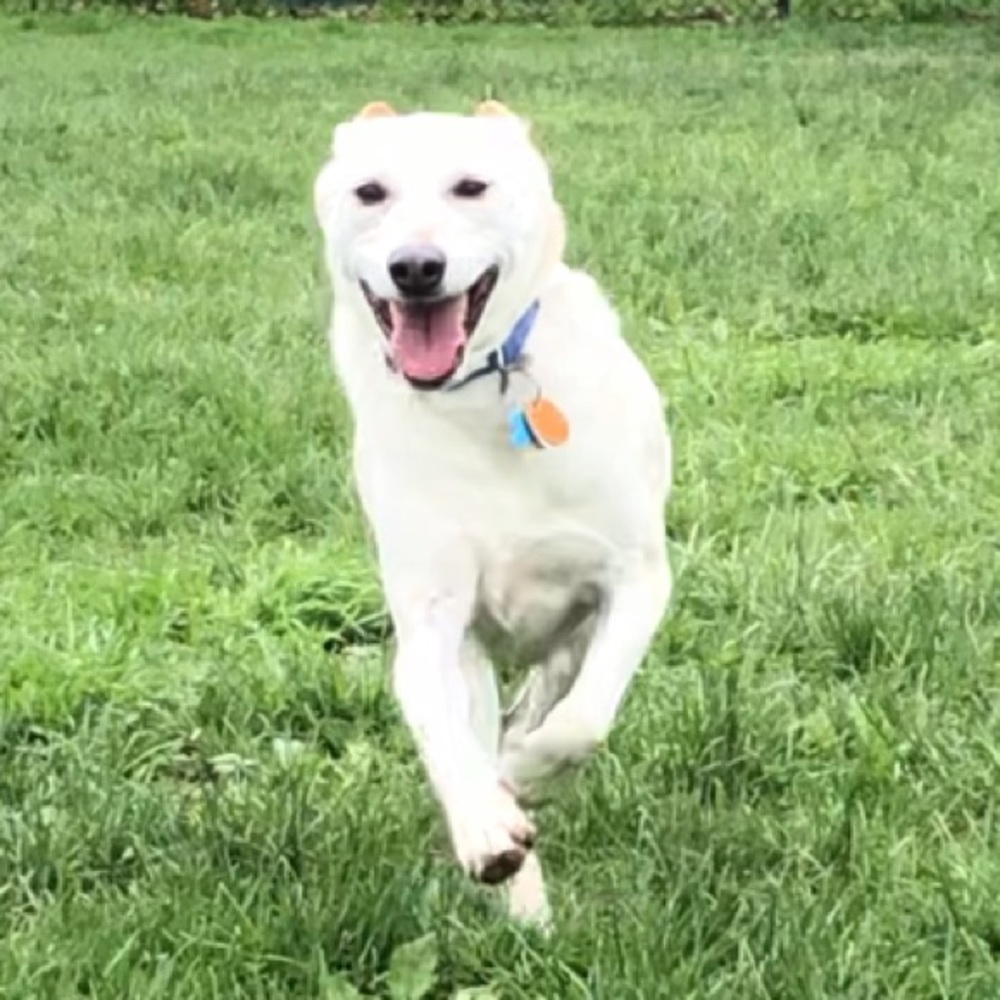 Meet your Posher, Matthew